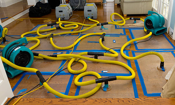 Professional Crawl Space Water Removal technician working in Eastport, NY
